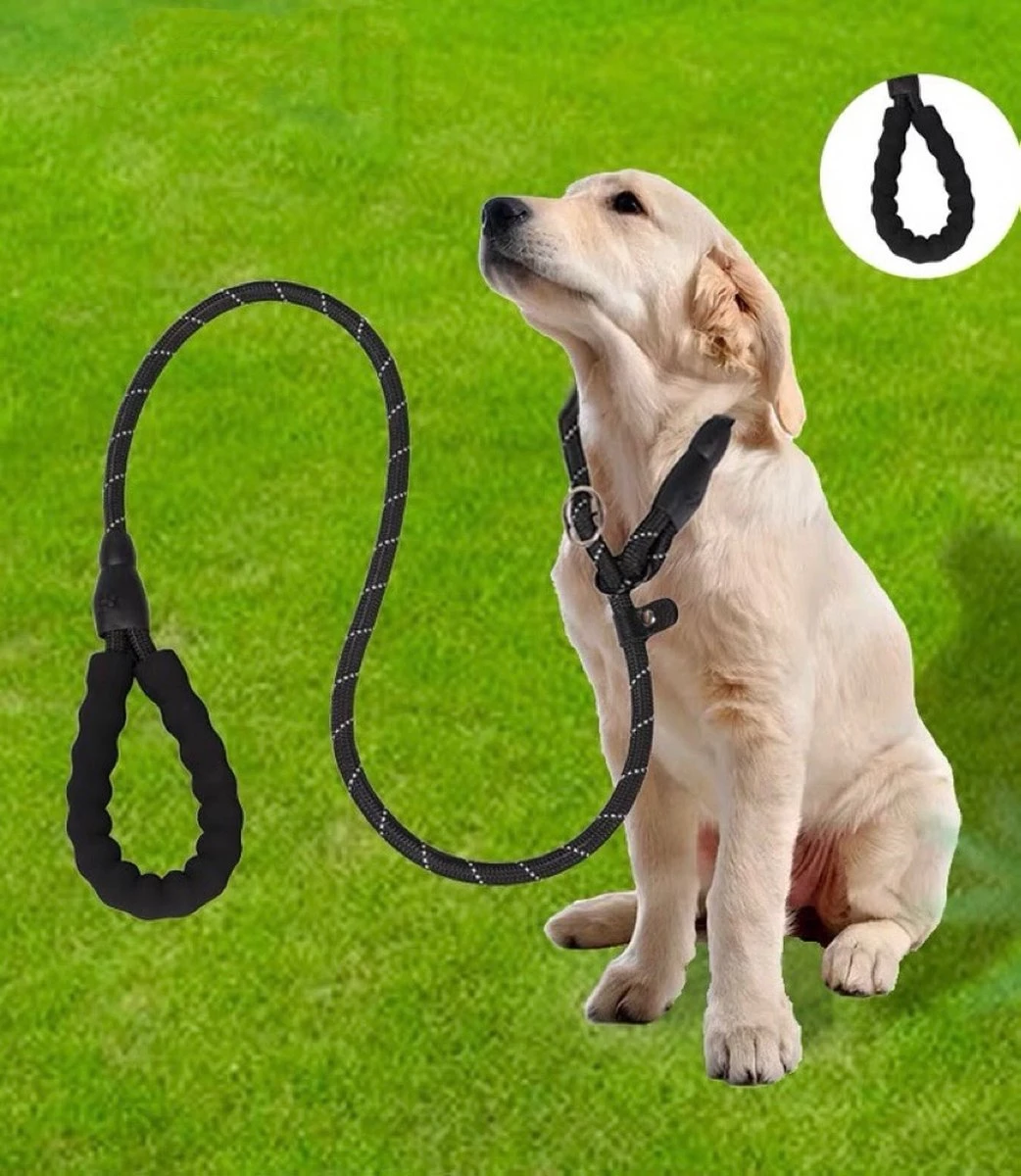 Nixnix - Honden Riem - 1,7cm - Zwart - 1,2cm Dik - Sliplijn - Nylon - Hondenriem - Verstelbaar - Jachtlijn Met Stop - Leiband - Afbeelding 5