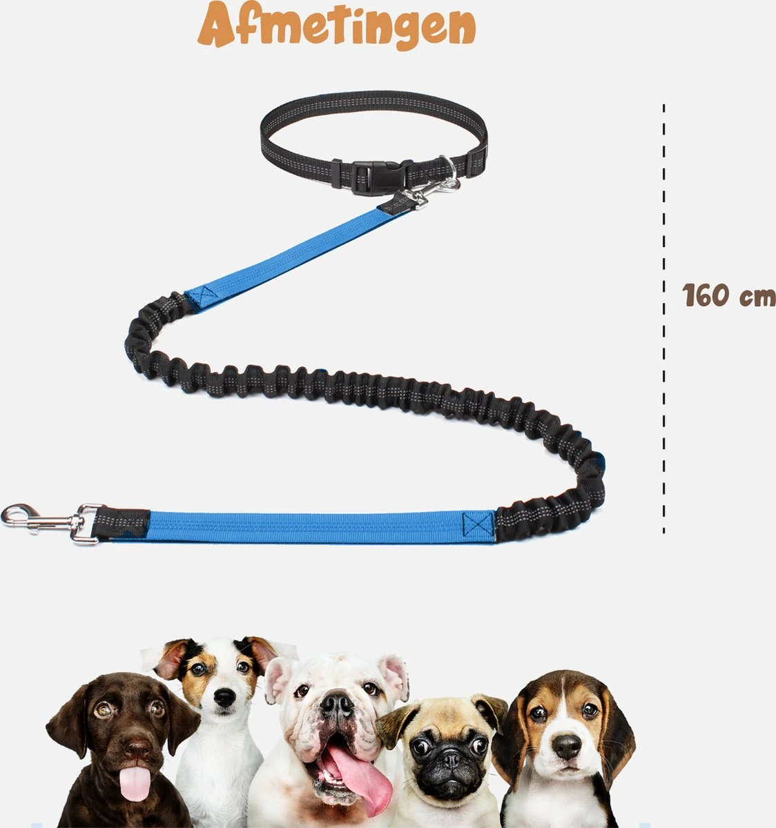 Hardloopriem Hond – Honden Riem Handsfree – Hardlopen Met Hond – 160-260 Cm Blauw - Hardloopband Hond – Halsband Hond – Hondenlijn – Leiband Hond - Afbeelding 4