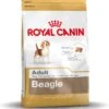 Royal Canin Beagle Adult - Hondenvoer - 12 Kg