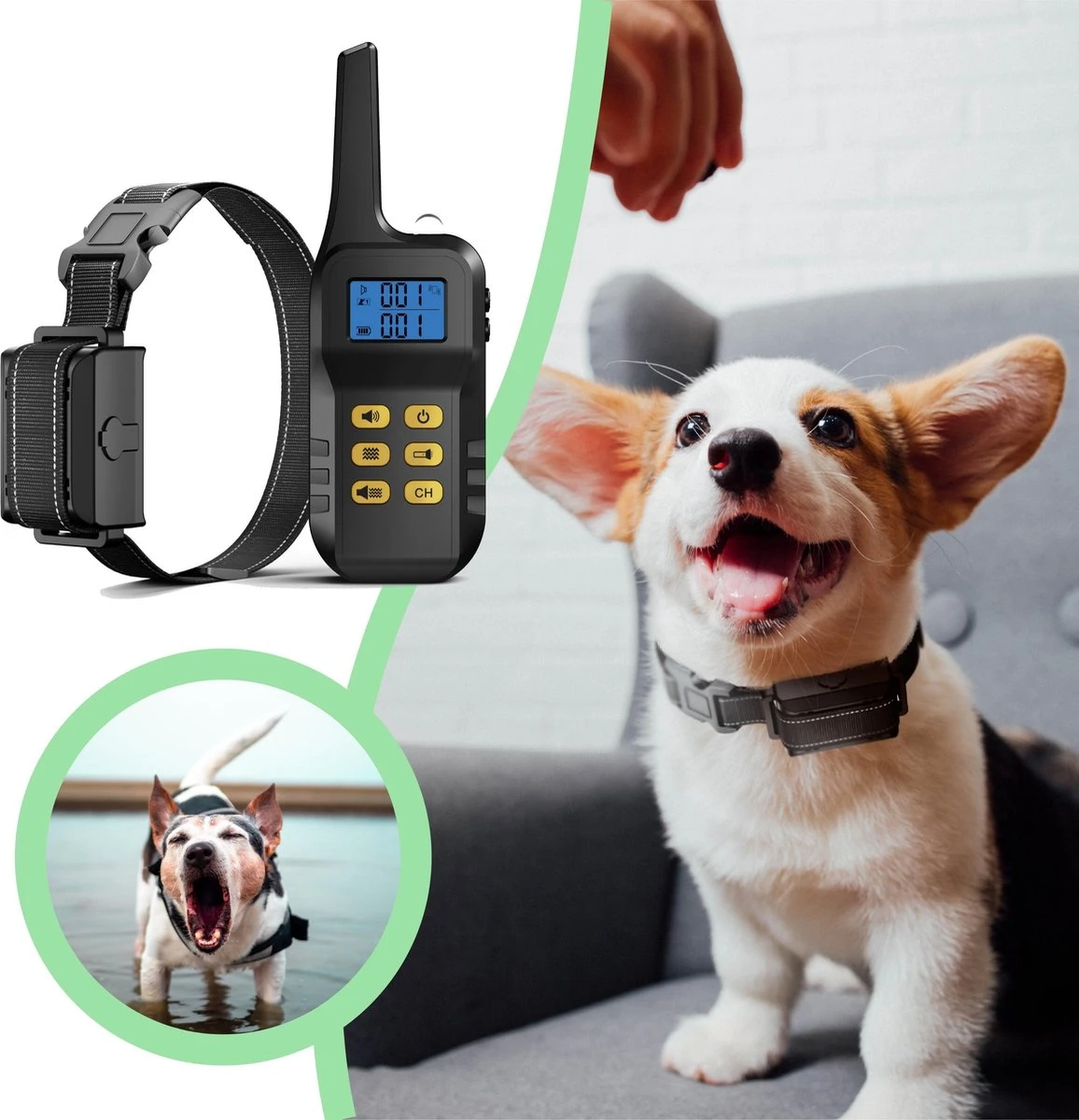 Anti Blafband Met Afstandsbediening - Blafband Voor Honden - Anti Blaf Apparaat Zonder Schok - Twee In Een Trainingshalsband - Afbeelding 6