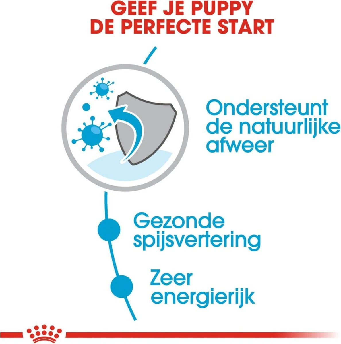 Royal Canin Shn Mini Puppy Pouch - Hondennatvoer - 12 X 85 G - Afbeelding 2