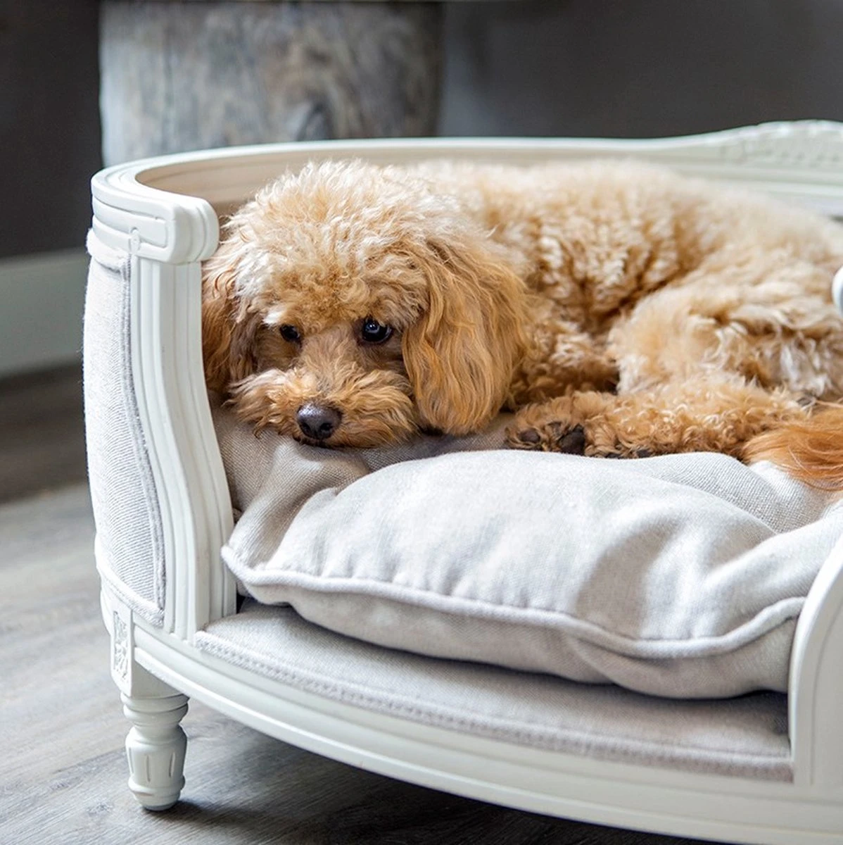 Lord Lou - George Roze Velvet S - Luxe Hondenmand - Luxe Kattenmand - 49x40x31 - Afbeelding 8