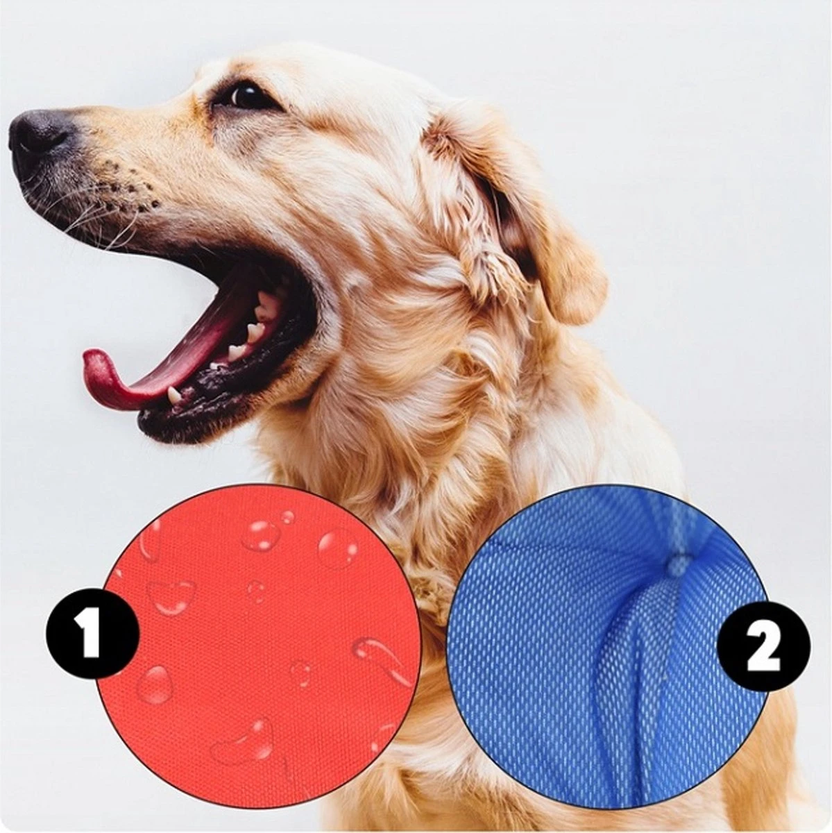 Ecco - Honden- En Kattenbed Met Kussen | Binnenmaat: 130x100 / Buitenmaat: 145x115cm - Beige / Zwart - Afbeelding 5