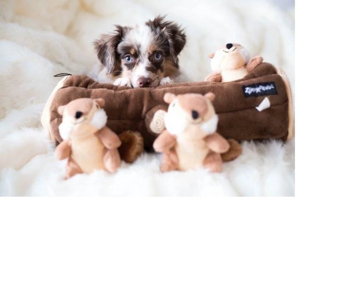 Zippy Paws - Petshop By Fringe Studio- Intelligentie Spel - Speelgoed Hond - Honden - Puzzel - Eekhoorn - Afbeelding 4