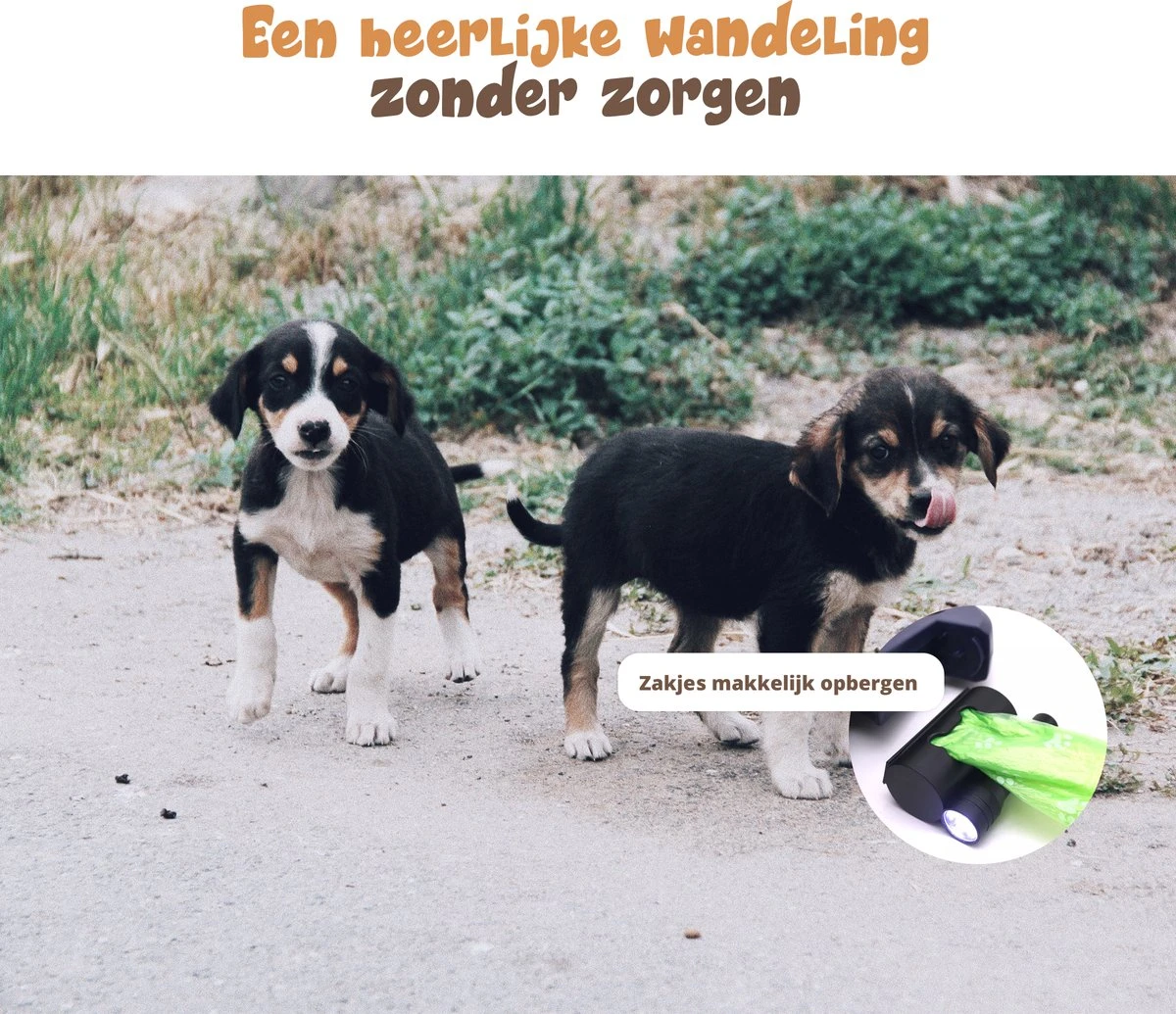 Dubbele Honden Riem – Leiband Hond – Hondenlijn – Looplijn Hond – 2 Honden – 3 Meter – Tot 12kg Per Hond – Reflecterende Lijnen – Met Zaklamp – 360° Draaien – Verstelbaar - Navy Blauw - Afbeelding 6