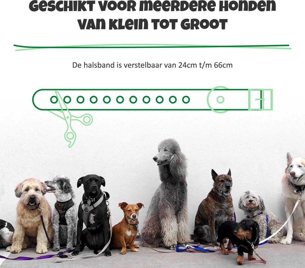 Anti Blafband Met Afstandsbediening - Blafband Voor Honden - Anti Blaf Apparaat Zonder Schok - Twee In Een Trainingshalsband - Afbeelding 8