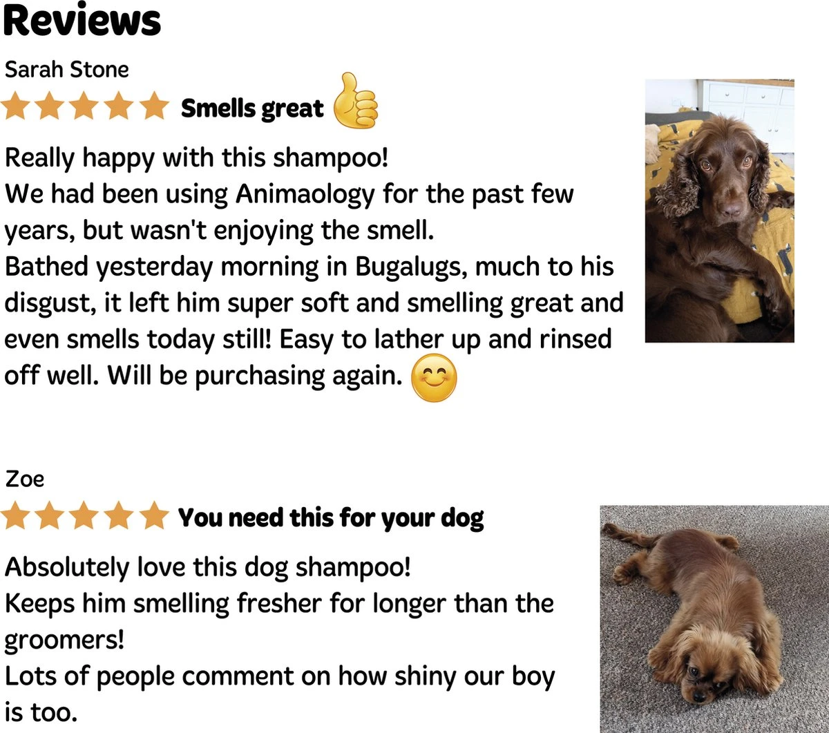 Bugalugs - Hondenshampoo - One In A Million - Alle Vachttypes - Fles Met Pompje - Vegan - 500 Ml - Afbeelding 9