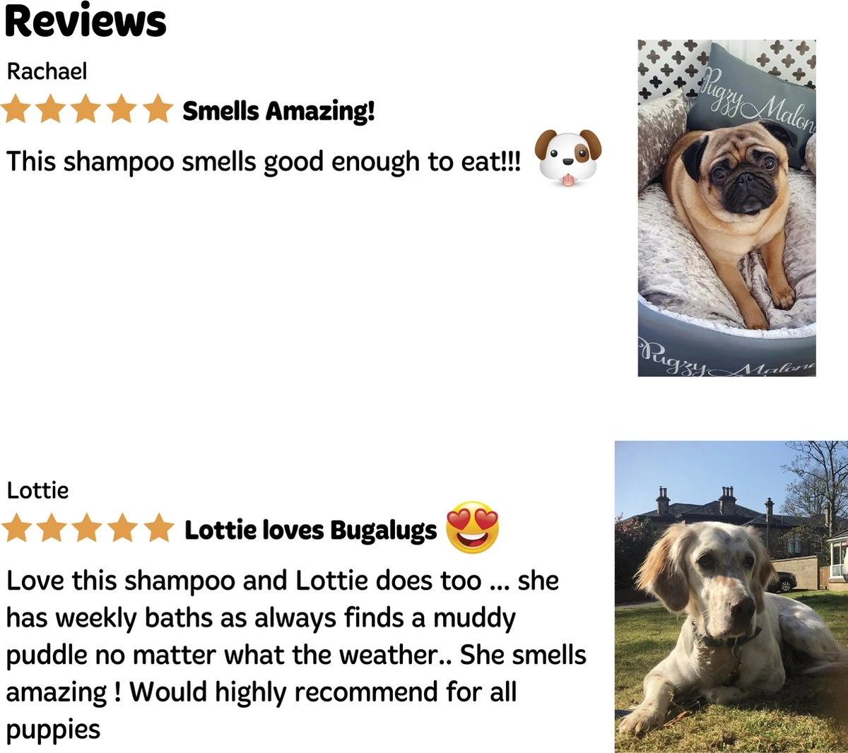 Bugalugs - Hondenshampoo - One In A Million - Alle Vachttypes - Fles Met Pompje - Vegan - 500 Ml - Afbeelding 6