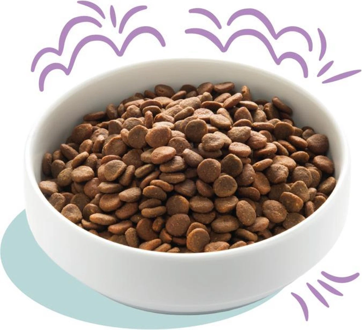 Edgard & Cooper Hondenvoer Puppy Verse Zalm En Kalkoen 7 Kg - Afbeelding 4