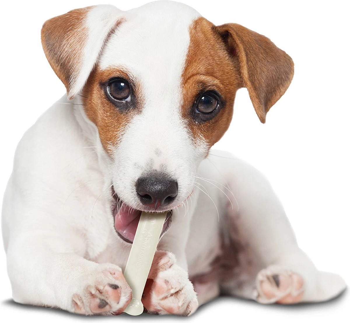 Nylabone Harde Bijters Kluif - Kip - Voor Honden Tot 30 Kg - Afbeelding 5