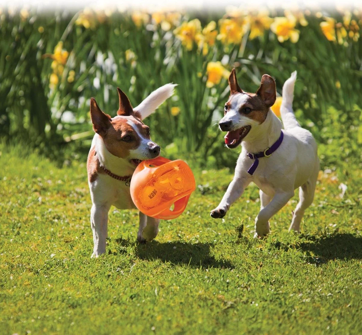 Kong Jumbler Ball - Assorti Hondenspeelgoed - L/XL - Ø18 Cm - Afbeelding 6