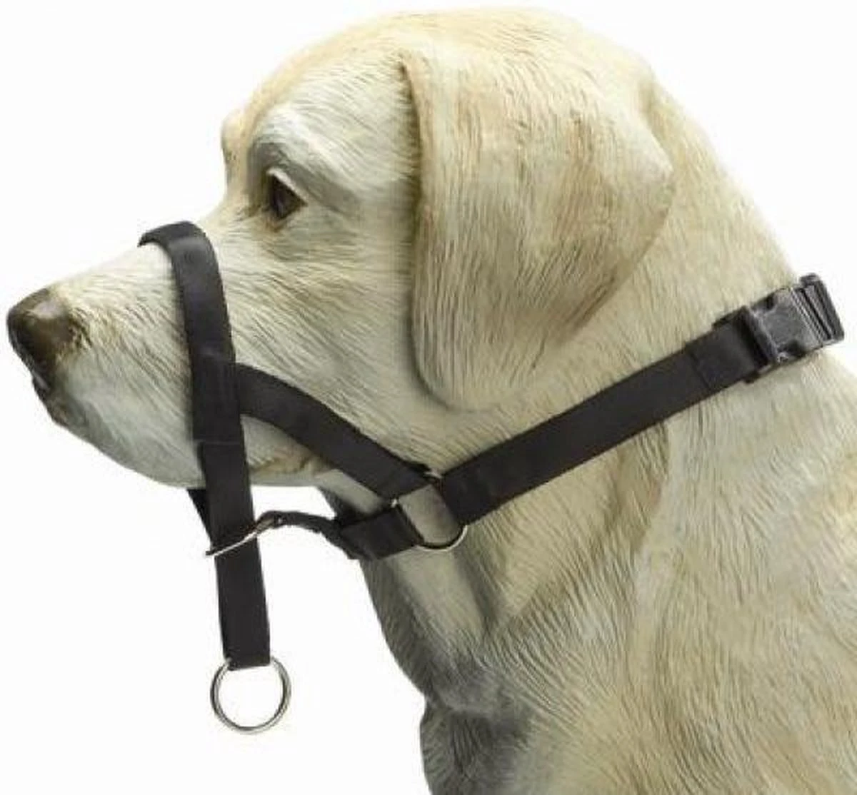 Beeztees Dog Control - Halsband Hond - Zwart - M-Speciaal - Afbeelding 2