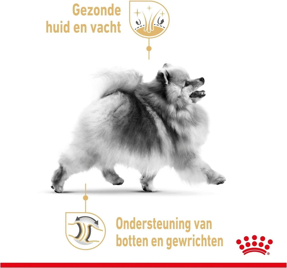 Royal Canin Pomeriaan Adult - Hondenvoer - 3 Kg - Afbeelding 3