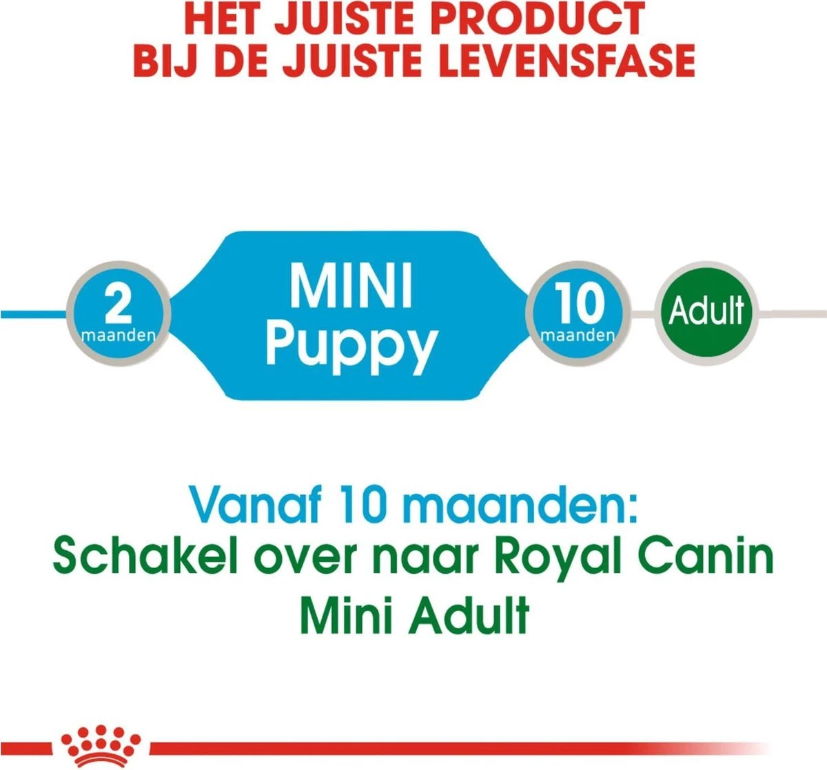Royal Canin Shn Mini Puppy Pouch - Hondennatvoer - 12 X 85 G - Afbeelding 9