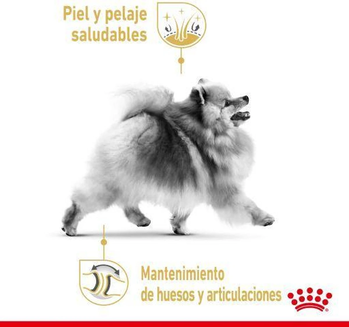 Royal Canin Pomeriaan Adult - Hondenvoer - 3 Kg - Afbeelding 4