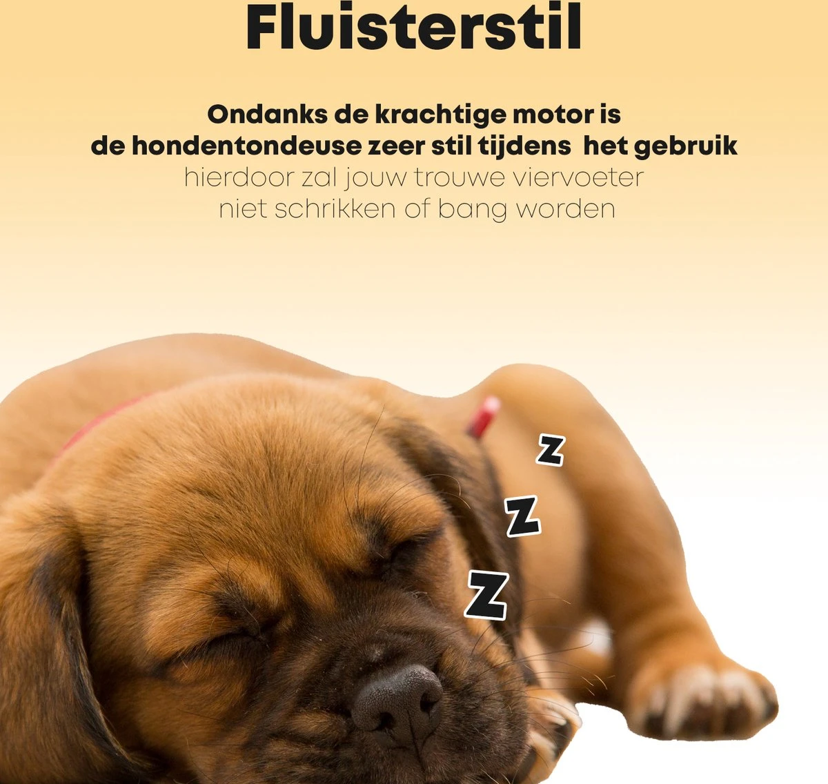 Hondentondeuse Professioneel - 2 In 1 - Honden & Katten - Hondentrimmer - Dikke & Dunne Vacht - Afbeelding 4