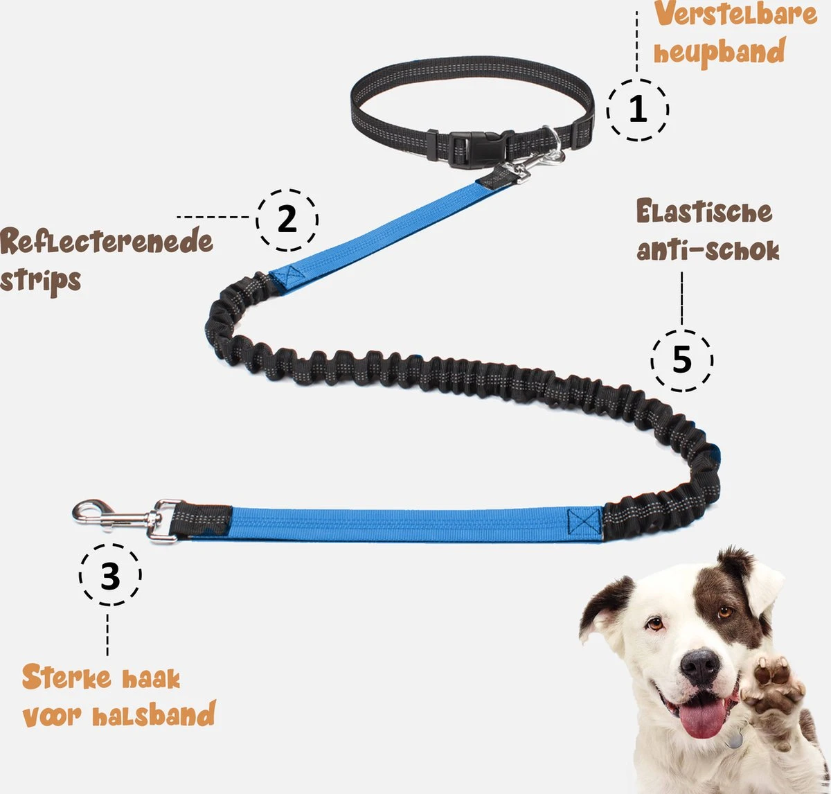 Hardloopriem Hond – Honden Riem Handsfree – Hardlopen Met Hond – 160-260 Cm Blauw - Hardloopband Hond – Halsband Hond – Hondenlijn – Leiband Hond - Afbeelding 7