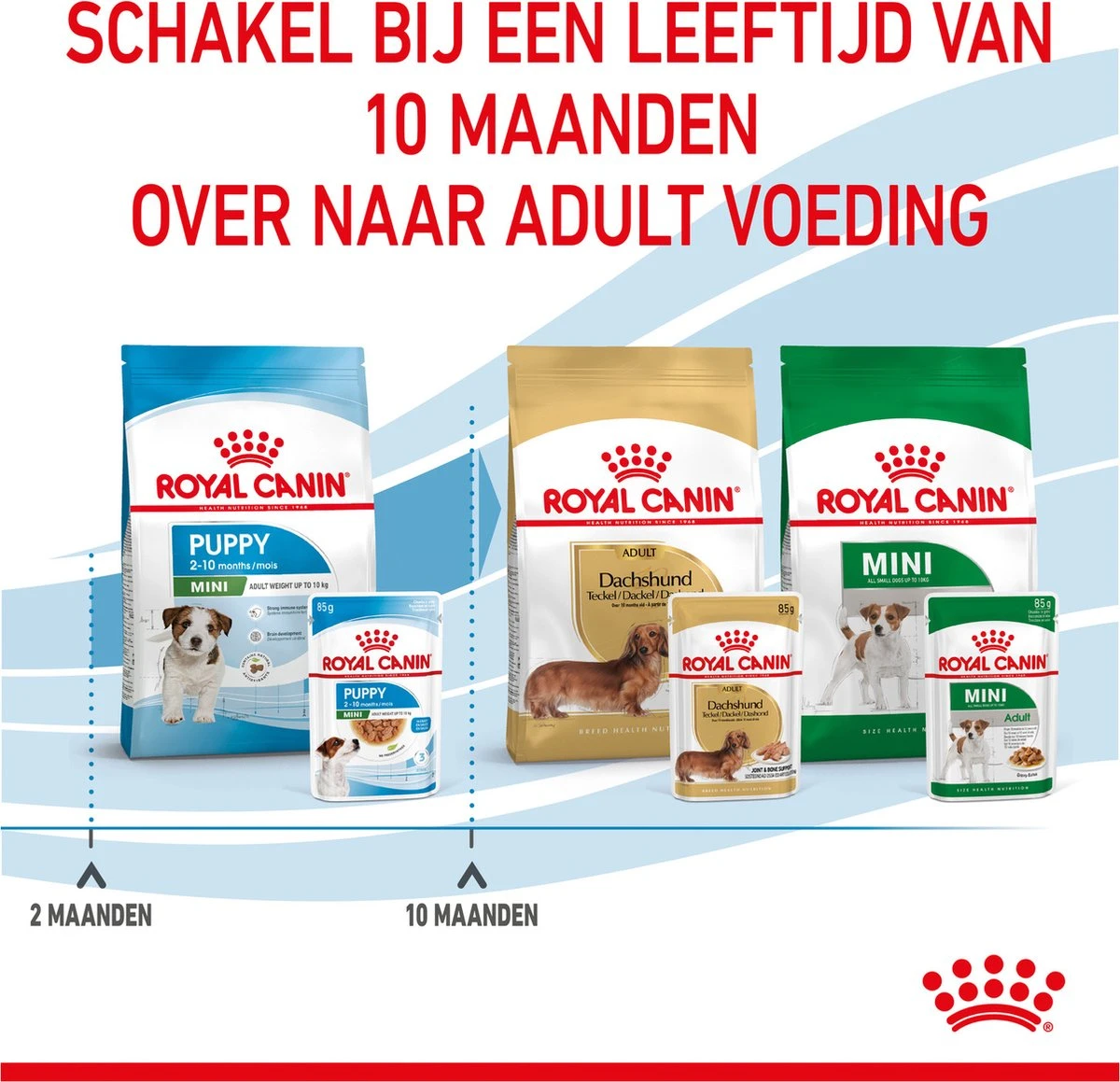 Royal Canin Shn Mini Puppy Pouch - Hondennatvoer - 12 X 85 G - Afbeelding 10