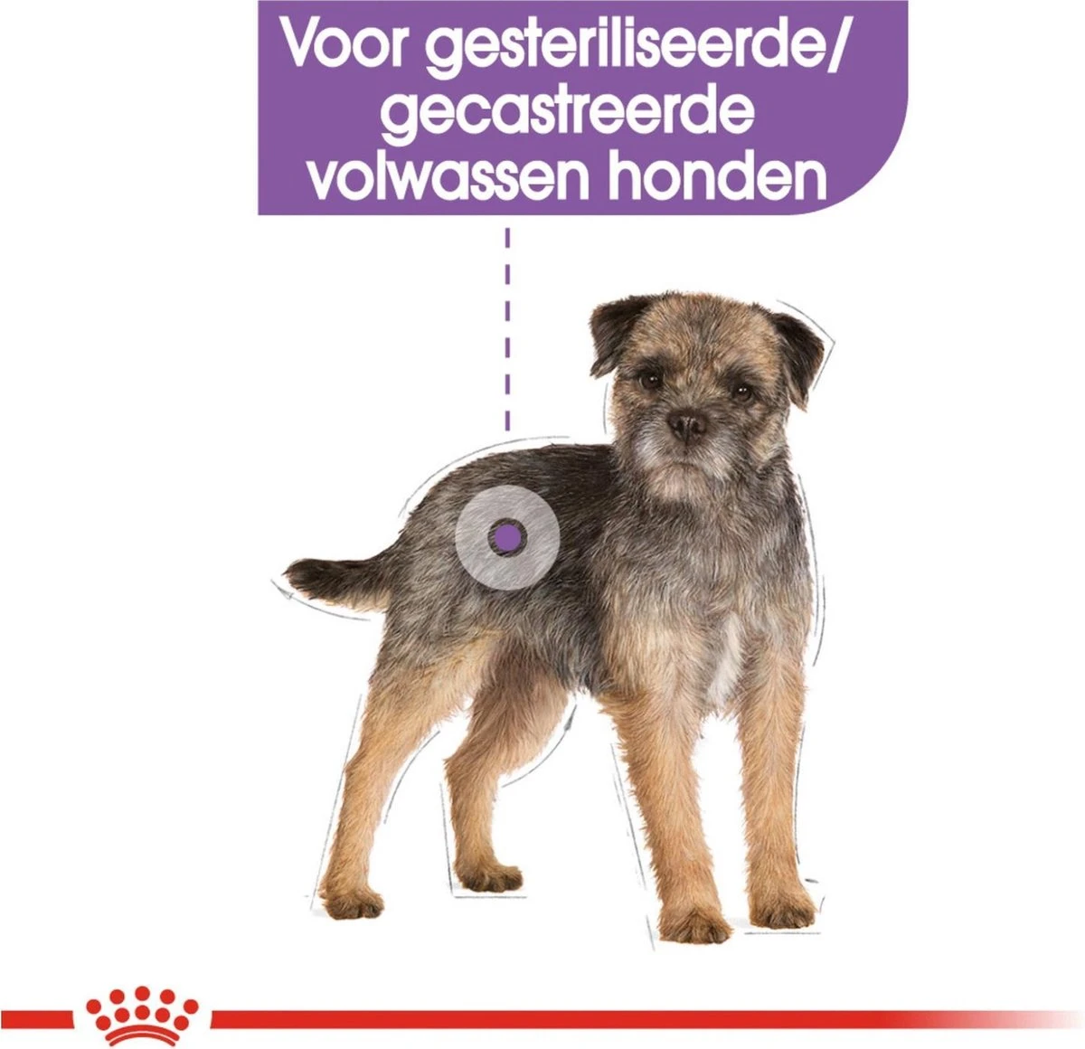 Royal Canin Ccn Sterilised Wet - Hondenvoer - 12x85 G - Afbeelding 2