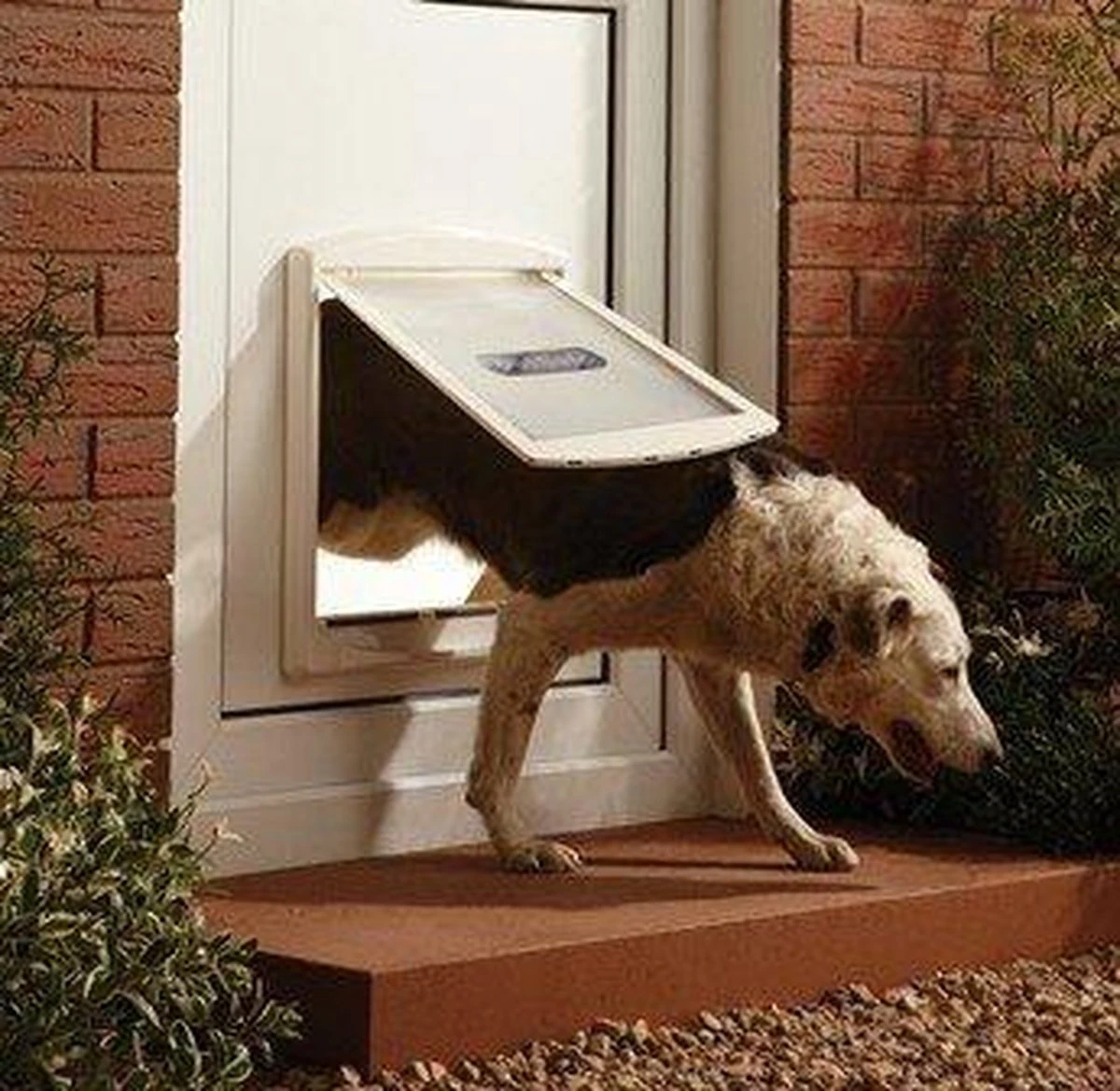 Petsafe 760 Hondenluik - L - Wit - 37 X 31,4 Cm - Afbeelding 7