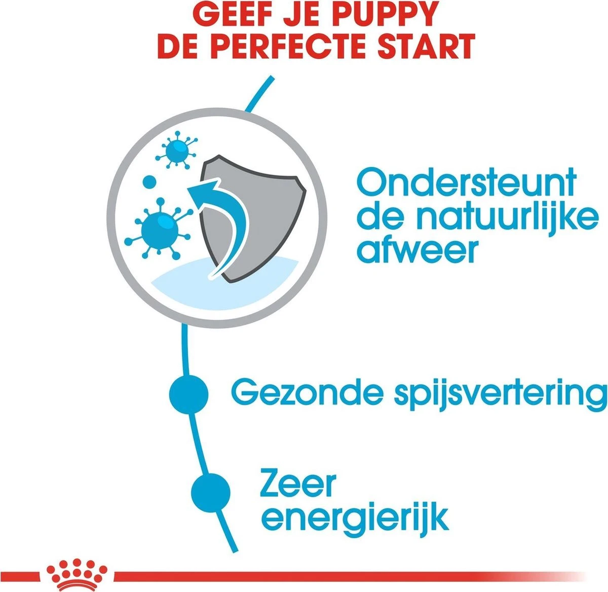 Royal Canin Mini Junior 8 KG - Afbeelding 5