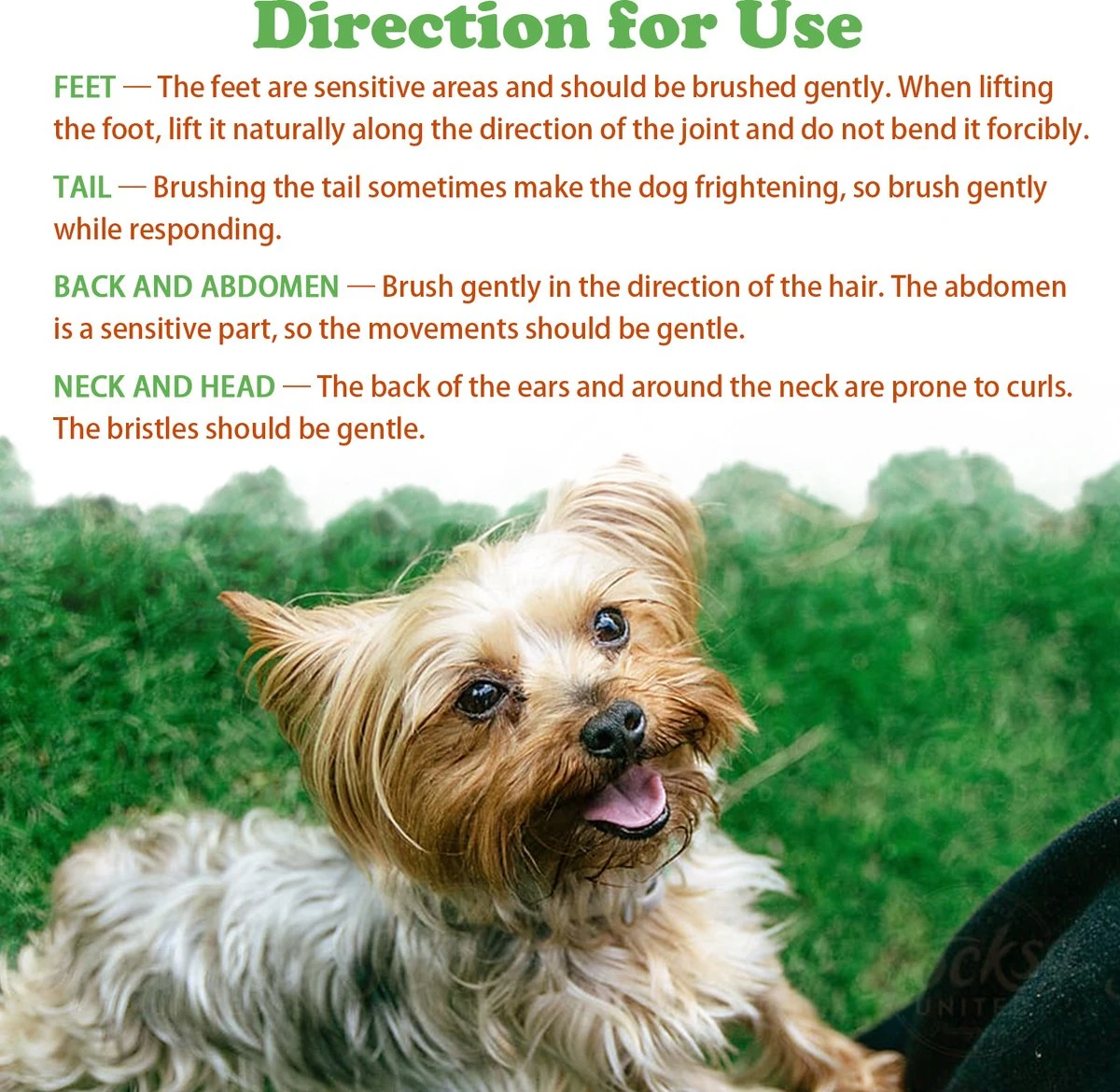 Merkloos Nobleza Dierenborstel - Hondenborstel - Kattenborstel - Tweezijdig - Dubbelzijdig - Hout - Maat L - Afbeelding 4