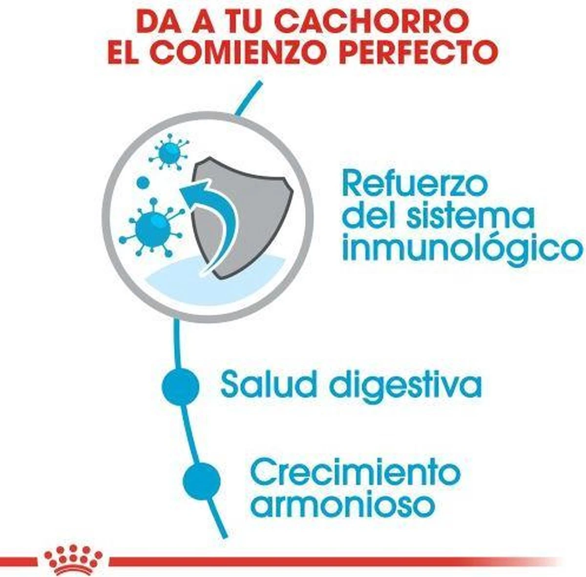 Royal Canin Mini Junior 8 KG - Afbeelding 7