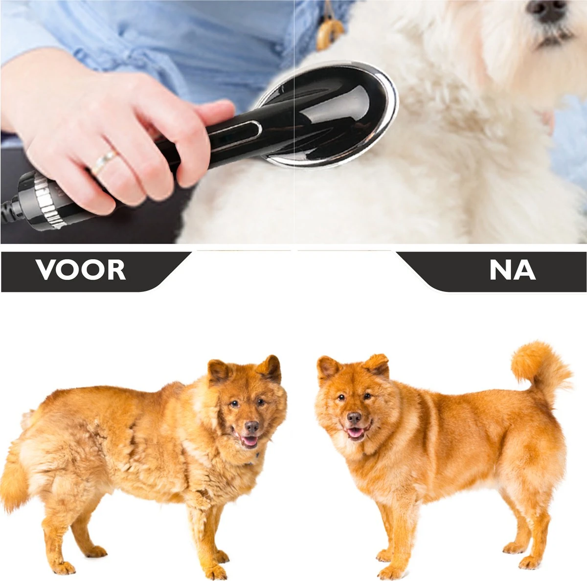 RoiPets® Hondenfohn 2 In 1 – 1000W - Honden Droger – Met Borstel - Waterblazer - Haar Verzorging - Honden Borstel Zwart - Honden/Katten/Dieren - Afbeelding 2
