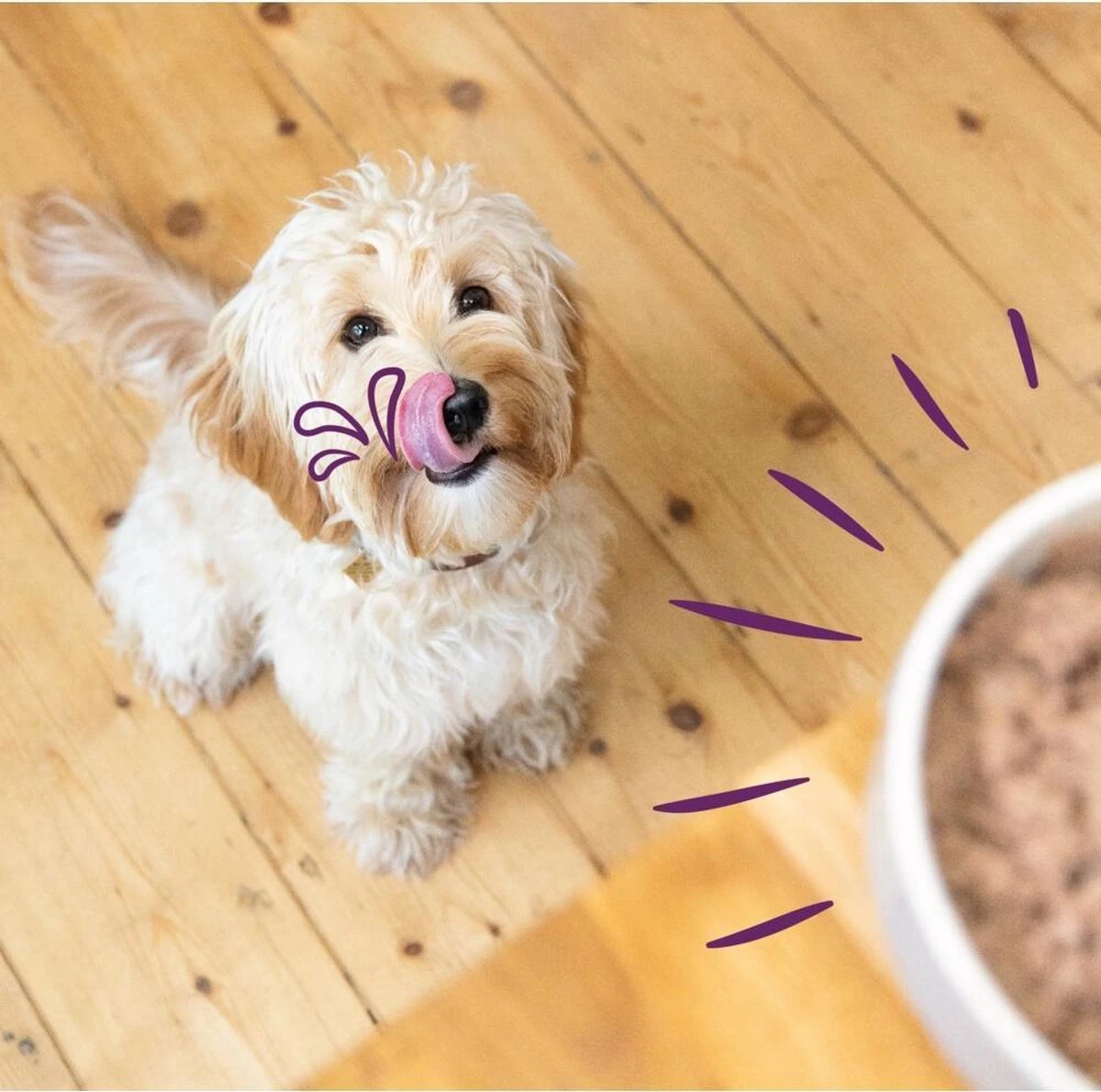 Merkloos Edgard & Cooper Hondenvoer Multipack Kip - Wild - Lam 6 X 100 Gr - Afbeelding 4