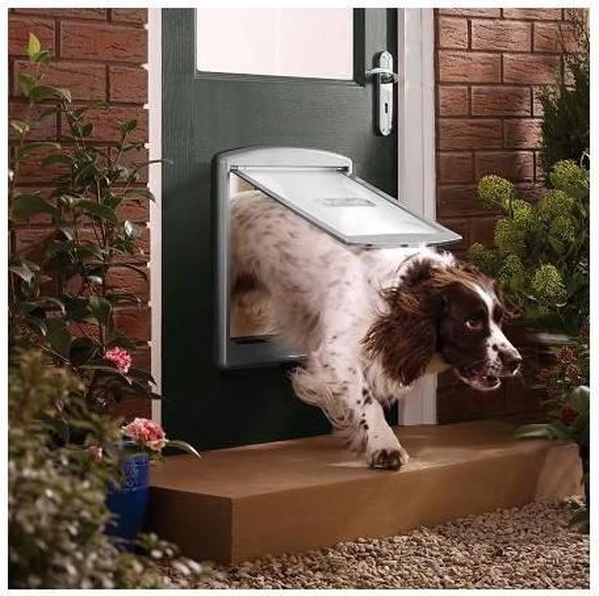 Petsafe 760 Hondenluik - L - Wit - 37 X 31,4 Cm - Afbeelding 5