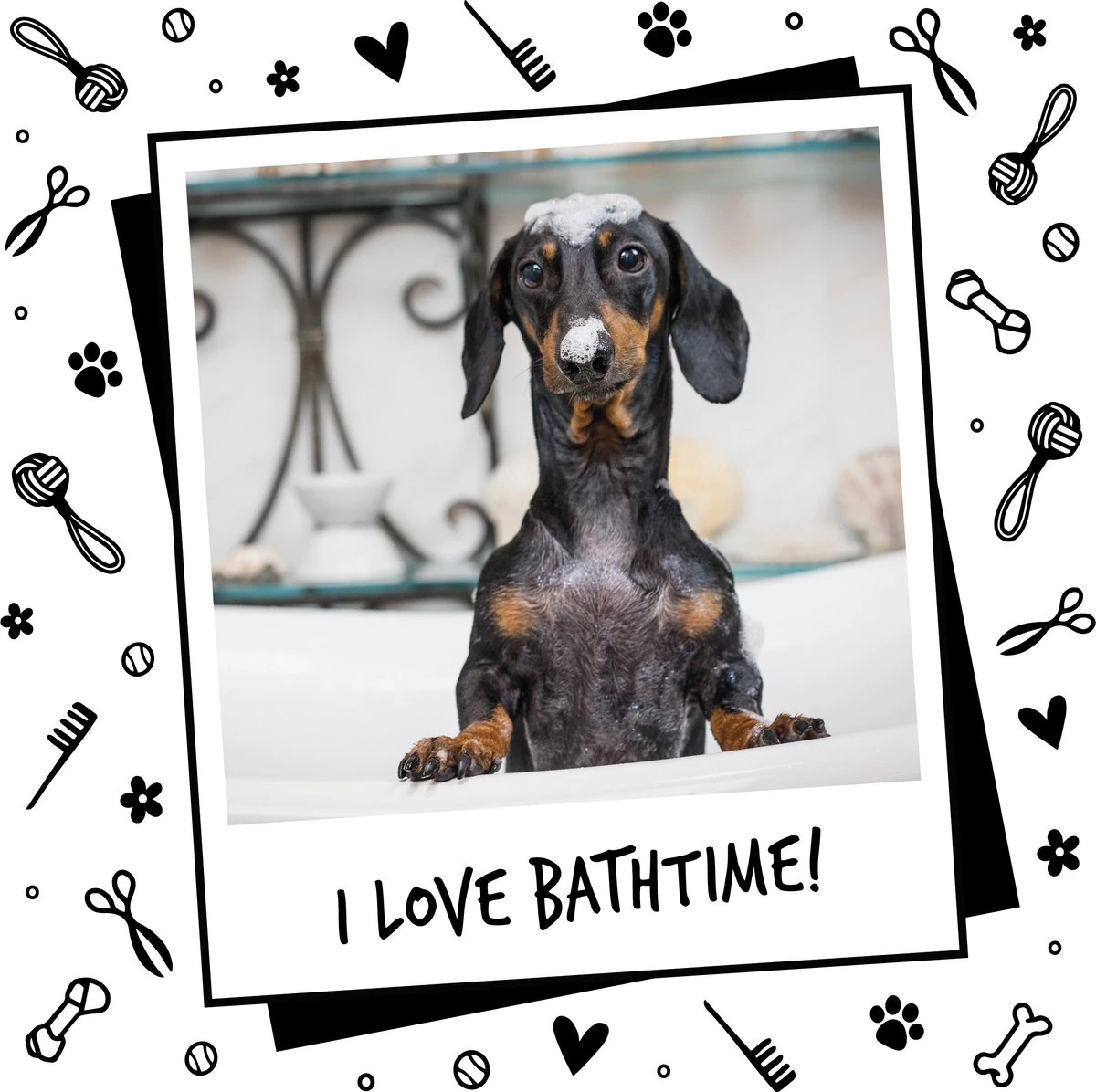 Bugalugs - Hondenshampoo - One In A Million - Alle Vachttypes - Fles Met Pompje - Vegan - 500 Ml - Afbeelding 8