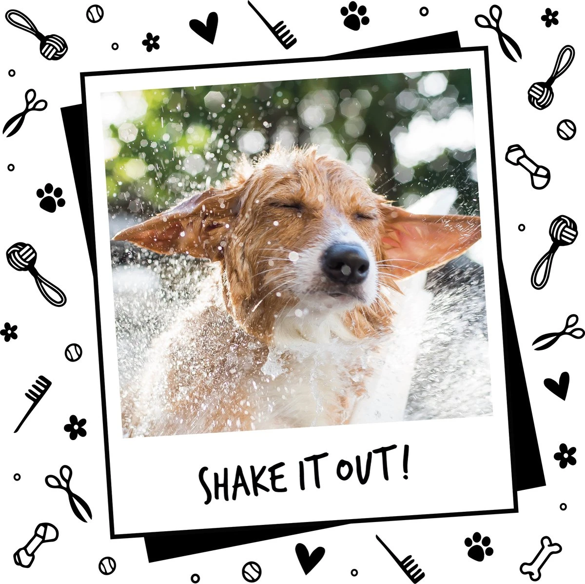 Bugalugs - Hondenshampoo - One In A Million - Alle Vachttypes - Fles Met Pompje - Vegan - 500 Ml - Afbeelding 5