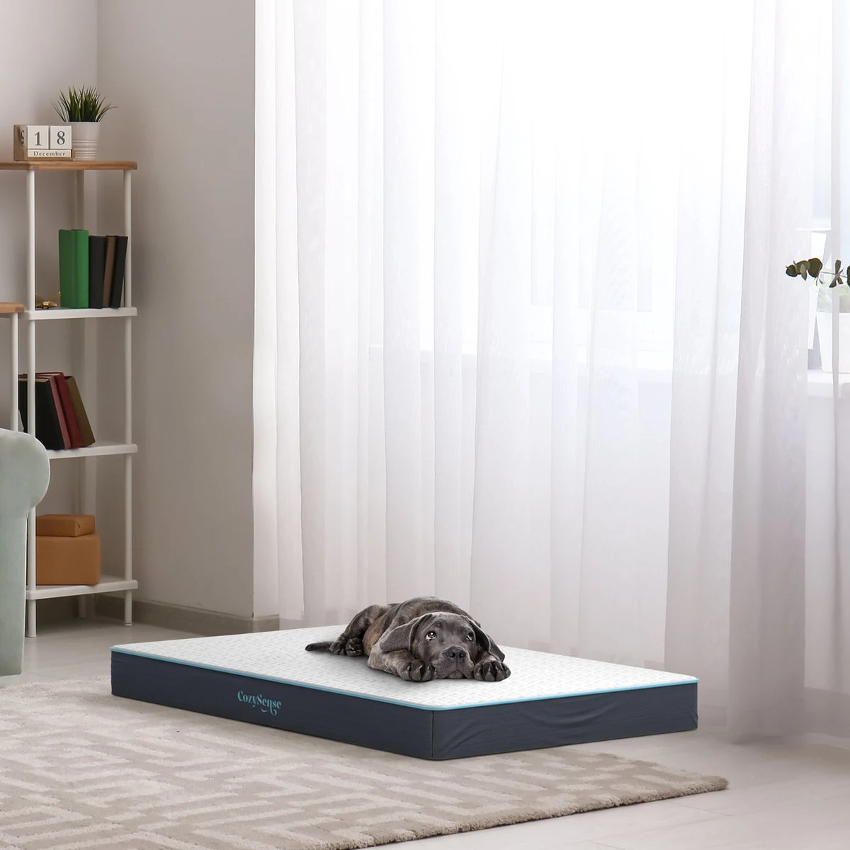 CozySense® - Orthopedisch Hondenkussen - Hondenkussen 60 X 40 Cm - Ook Geschikt Als Benchkussen & Hondenbed - Hondenkussen Bank - Traagschuim - Waterdicht - Wasbare Hoes - Maat S - Afbeelding 6