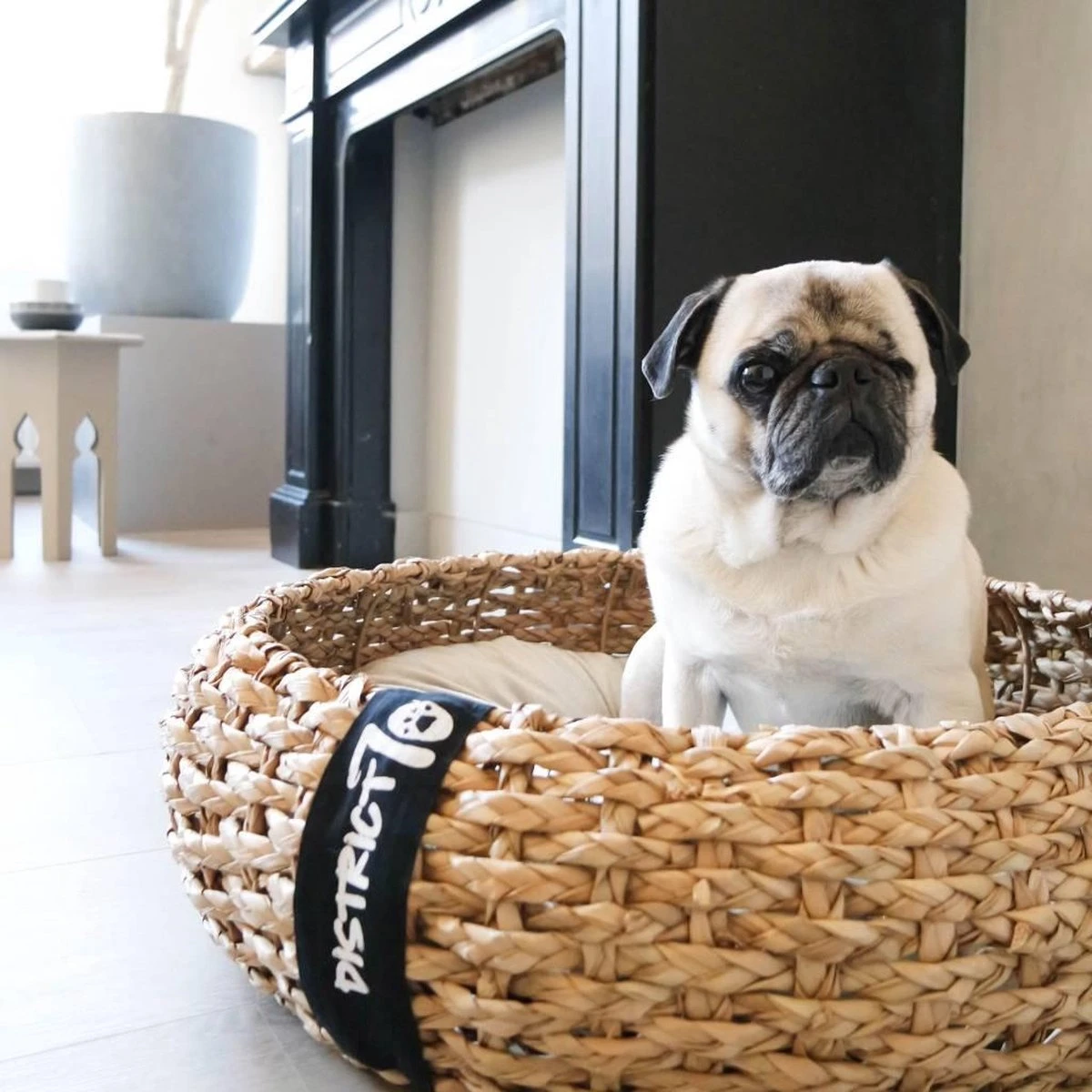 District 70 COCOON - Luxe Hondenmand Van Duurzaam Hoogwaardig Riet Met Zacht Kussen - Maten S/M/L - Large - Afbeelding 2