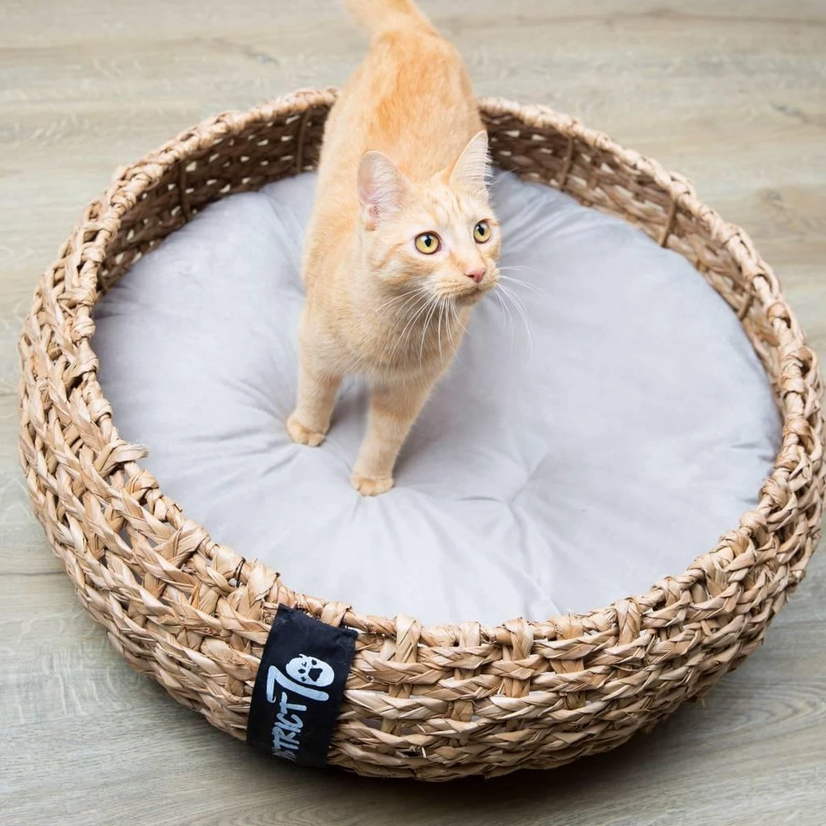 District 70 COCOON - Luxe Hondenmand Van Duurzaam Hoogwaardig Riet Met Zacht Kussen - Maten S/M/L - Large - Afbeelding 6