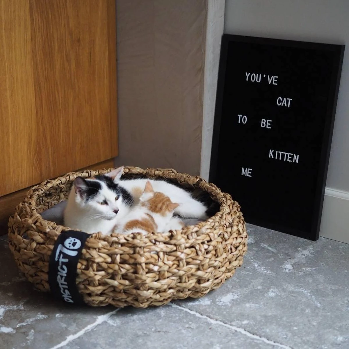 District 70 COCOON - Luxe Hondenmand Van Duurzaam Hoogwaardig Riet Met Zacht Kussen - Maten S/M/L - Large - Afbeelding 7