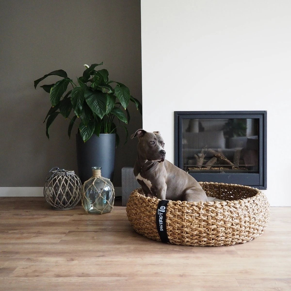 District 70 COCOON - Luxe Hondenmand Van Duurzaam Hoogwaardig Riet Met Zacht Kussen - Maten S/M/L - Large - Afbeelding 8