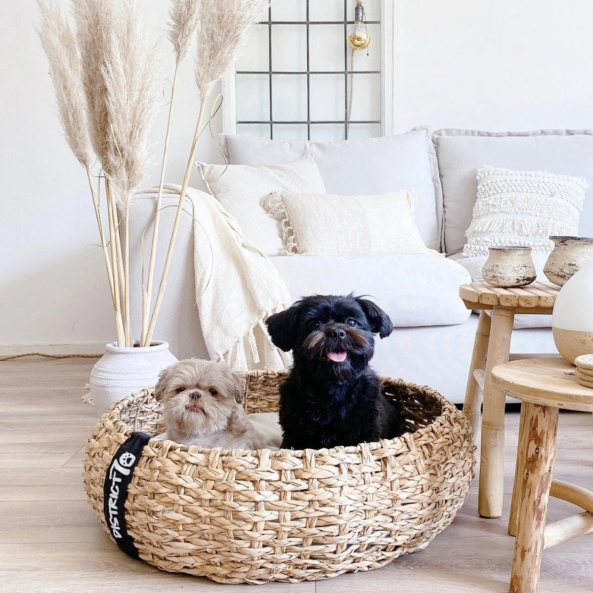 District 70 COCOON - Luxe Hondenmand Van Duurzaam Hoogwaardig Riet Met Zacht Kussen - Maten S/M/L - Large - Afbeelding 11