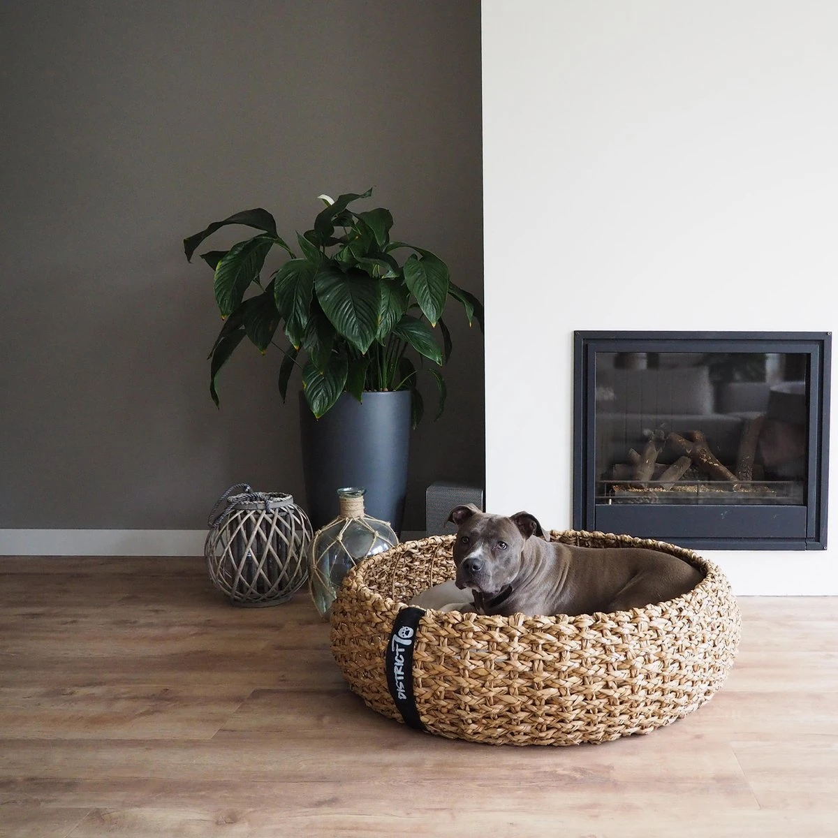District 70 COCOON - Luxe Hondenmand Van Duurzaam Hoogwaardig Riet Met Zacht Kussen - Maten S/M/L - Large - Afbeelding 13