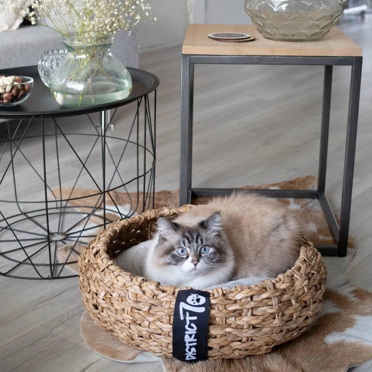 District 70 COCOON - Luxe Hondenmand Van Duurzaam Hoogwaardig Riet Met Zacht Kussen - Maten S/M/L - Large - Afbeelding 15