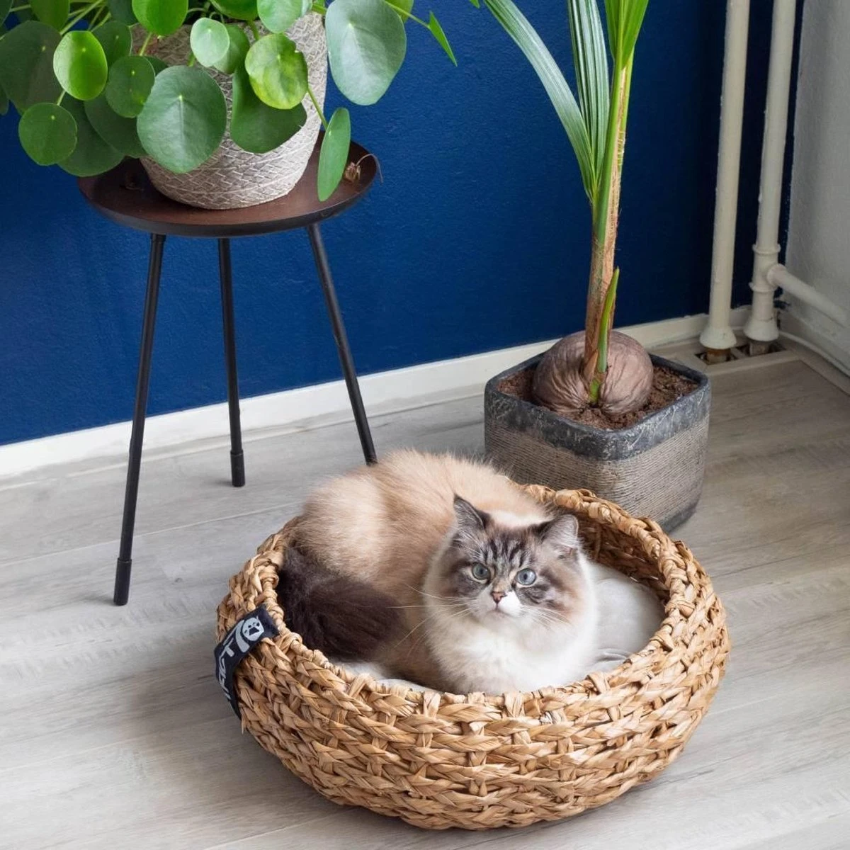 District 70 COCOON - Luxe Hondenmand Van Duurzaam Hoogwaardig Riet Met Zacht Kussen - Maten S/M/L - Large - Afbeelding 16