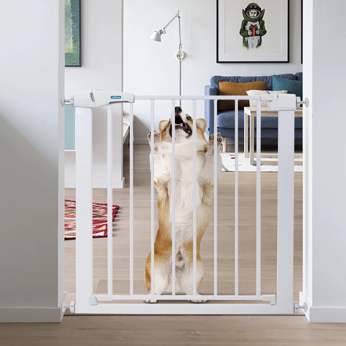 Nobleza 47B4V - Hondenhek - Metaal - H76 X L75-82 Cm - Wit