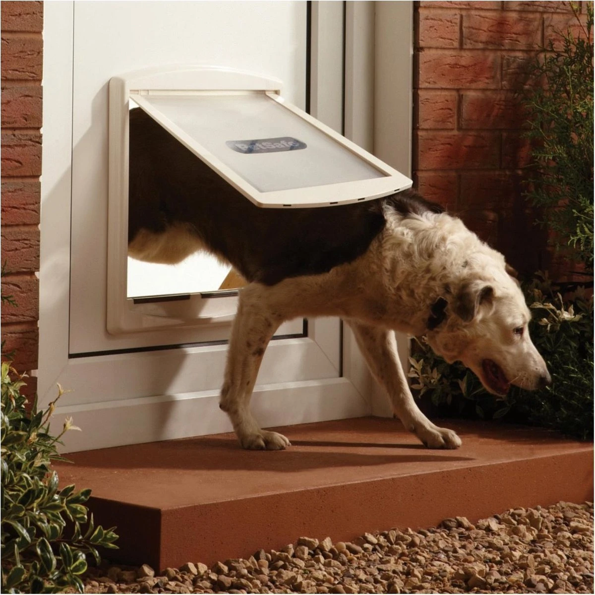 Petsafe 760 Hondenluik - L - Wit - 37 X 31,4 Cm - Afbeelding 10