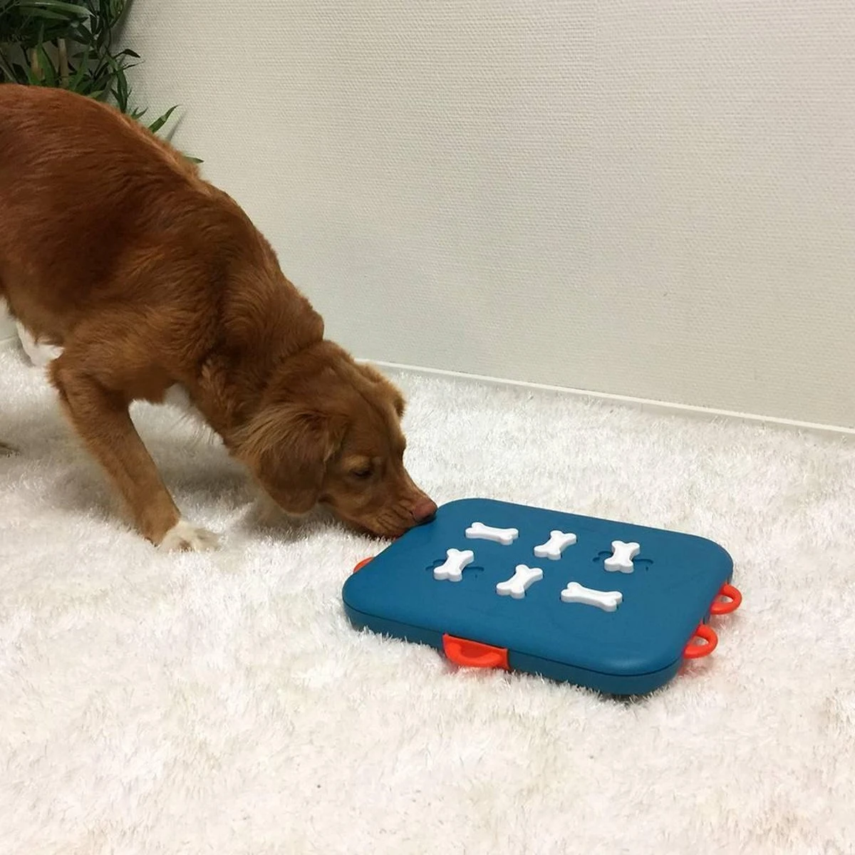 Nina Ottosson Dog Casino - Turquoise/Oranje - 31,5 X 26 X 4,5 Cm - Afbeelding 7