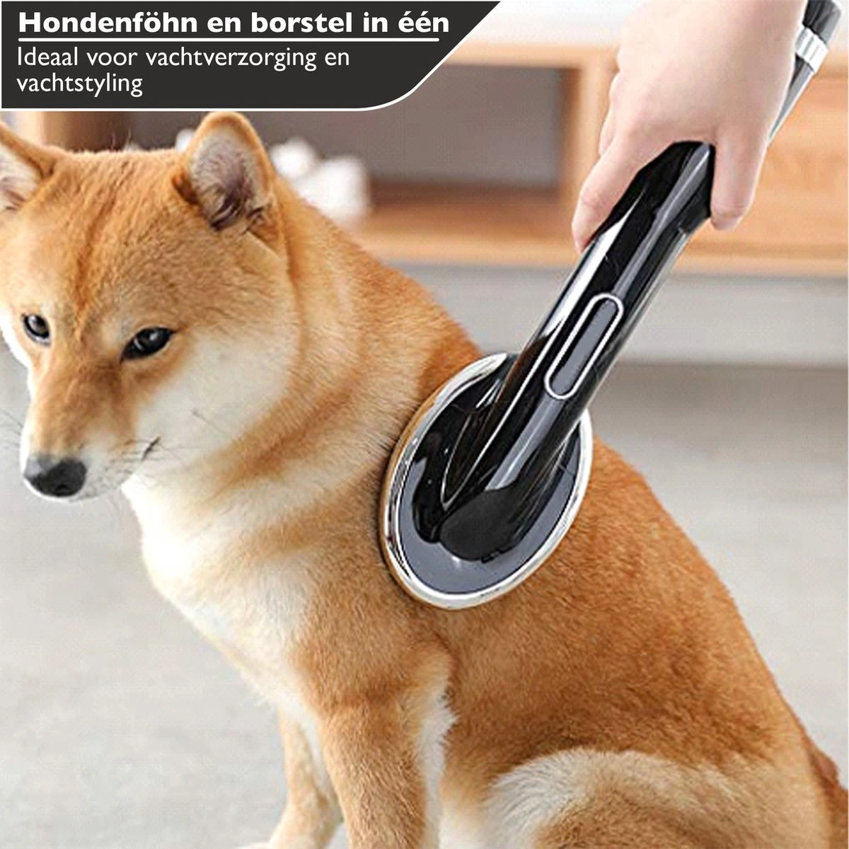 RoiPets® Hondenfohn 2 In 1 – 1000W - Honden Droger – Met Borstel - Waterblazer - Haar Verzorging - Honden Borstel Zwart - Honden/Katten/Dieren - Afbeelding 5