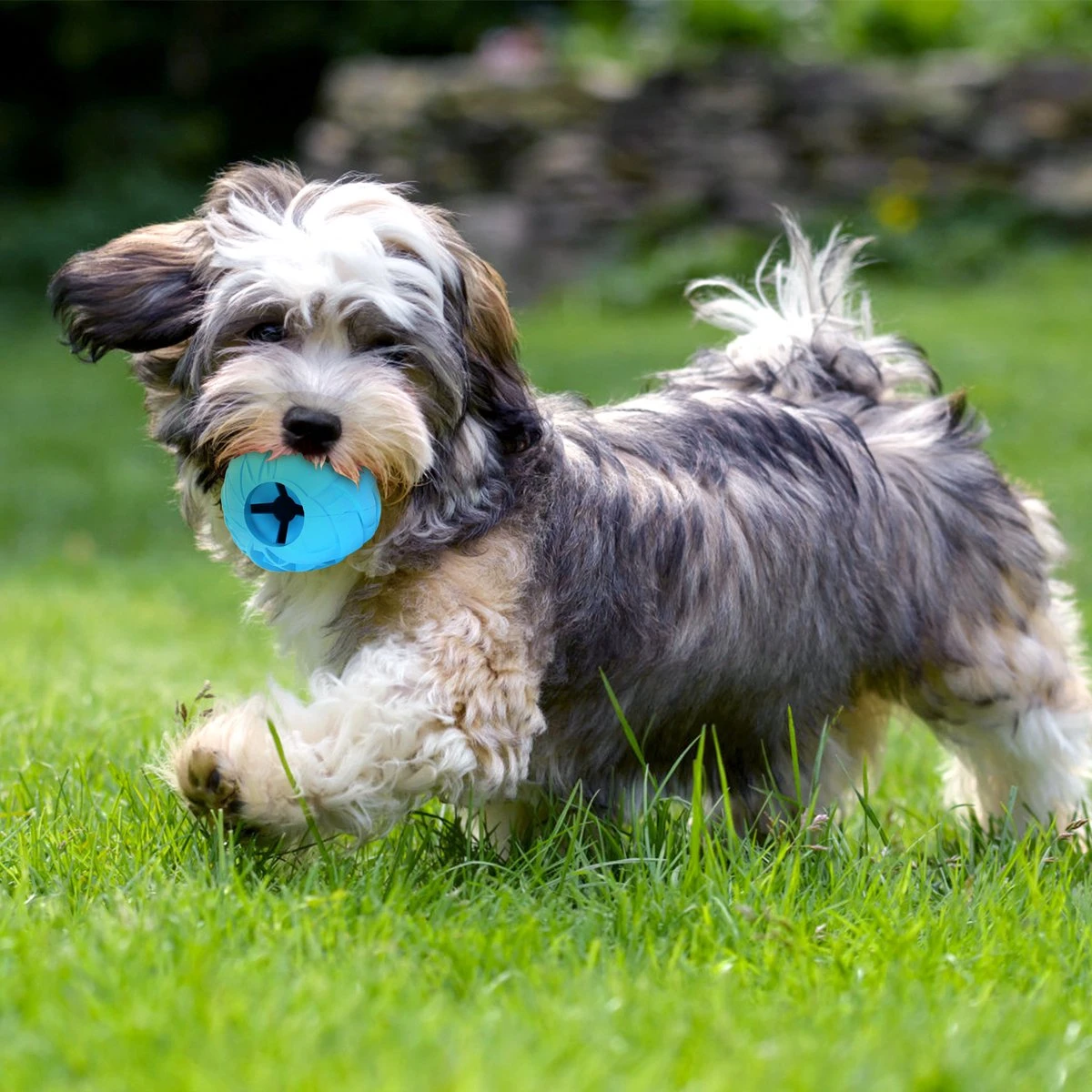 Nobleza Honden Speelgoed - Hondenspeeltjes - Hondenbal - Hondenspeelgoed - Honden Bal - Snackbal Hond - Kauwspeelgoed - Blauw - 8 Cm - Afbeelding 6