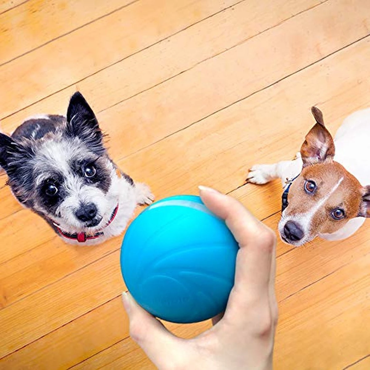 Cheerble Wicked Ball W1| Geel| Zelf Rollende Bal Voor Honden | 3 Automatische Speelmodi | Interactief En Intelligentie Hondenspeelgoed | Hondenspeeltje| USB Oplaadbaar - Afbeelding 8