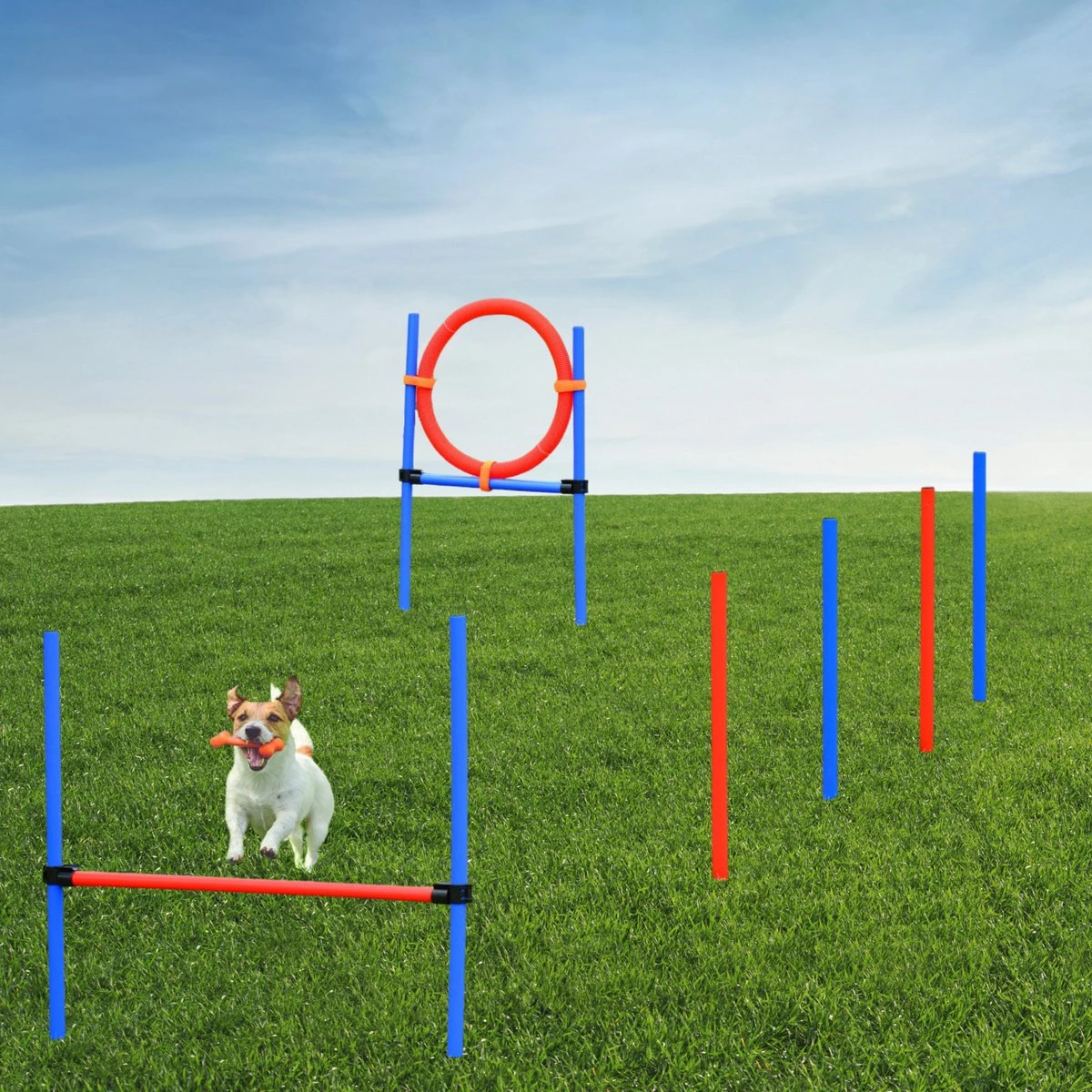 Merkloos Honden Agility Set - 23-delig - Agility Voor De Hond - Agility - Honden Parcours - Honden Training - Rood/Blauw - Afbeelding 4