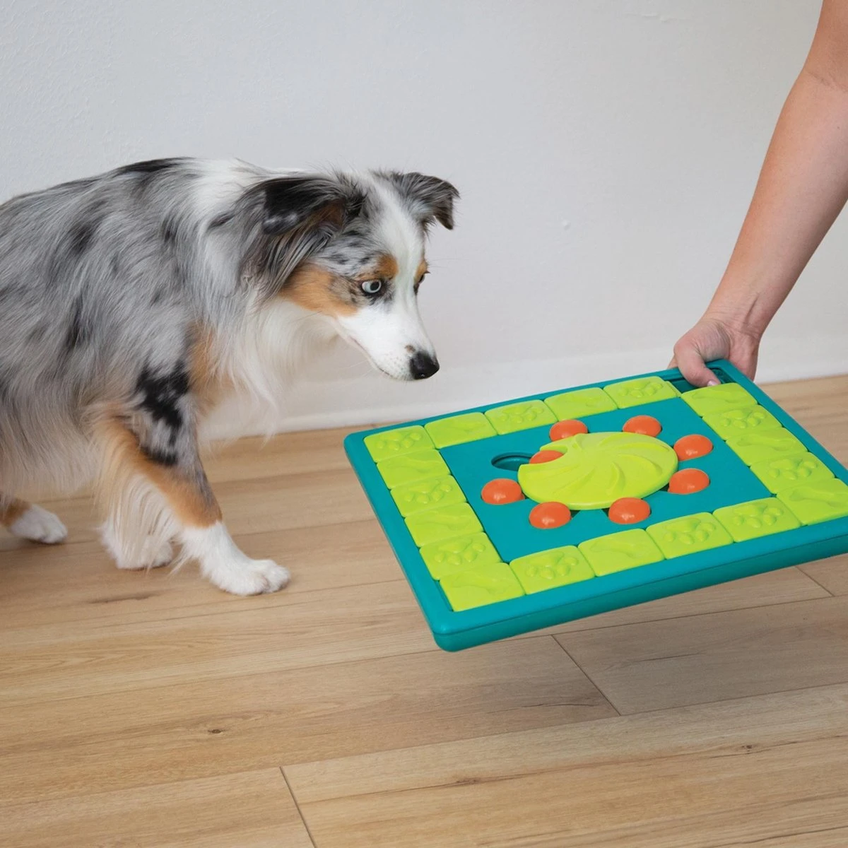 Nina Ottosson Interactieve Hondenpuzzel Vulbaar Met Snacks Voor De Slimste Honden - Outward Hound Multipuzzle - Afbeelding 5