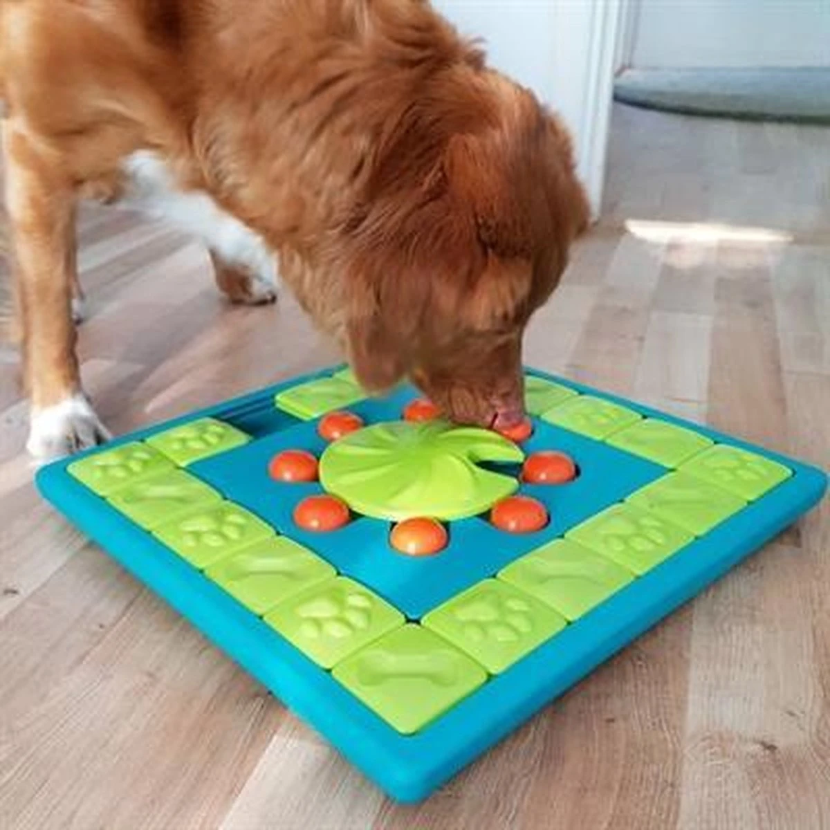 Nina Ottosson Interactieve Hondenpuzzel Vulbaar Met Snacks Voor De Slimste Honden - Outward Hound Multipuzzle - Afbeelding 8